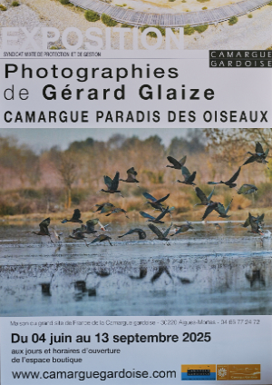 Exposures