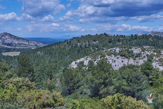 Les Alpilles - Massif des Opies