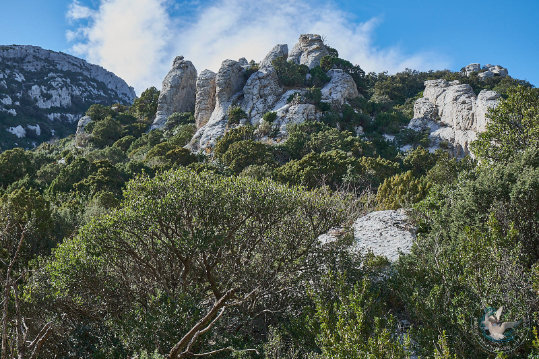 Les Alpilles - Massif des Opies