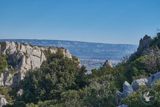 Les Alpilles - Massif des Opies