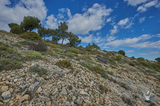 Les Alpilles