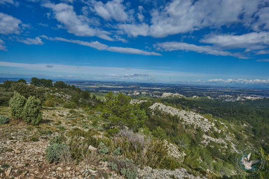 Les Alpilles