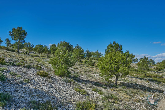 Les Alpilles