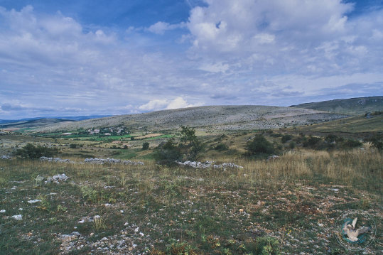 Paysage des Grands Causses