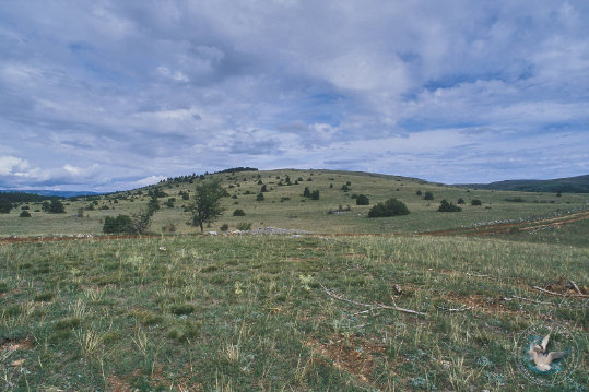 Paysage des Grands Causses