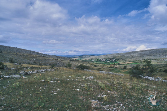 Paysage des Grands Causses