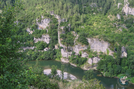 Gorges du Tarn