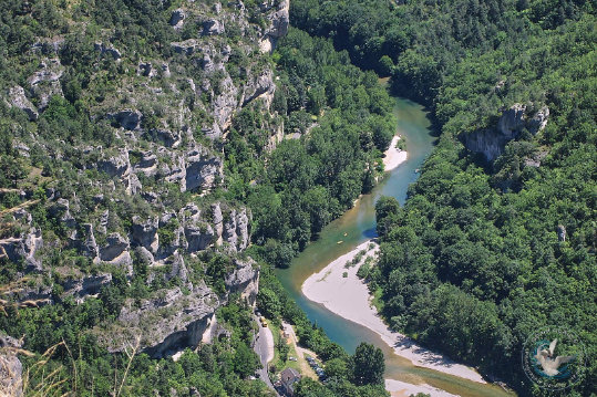 Gorges du Tarn