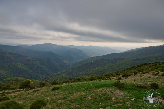 Paysage des Grands Causses