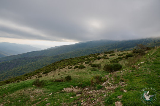 Paysage des Grands Causses