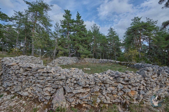 Paysage des Grands Causses