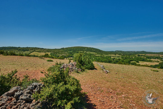 Paysage des Grands Causses