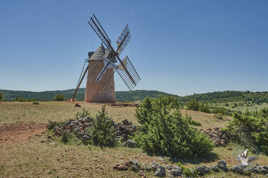 Moulin de Rédounel