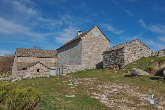 ferme des Cévennes - Mas Camargue