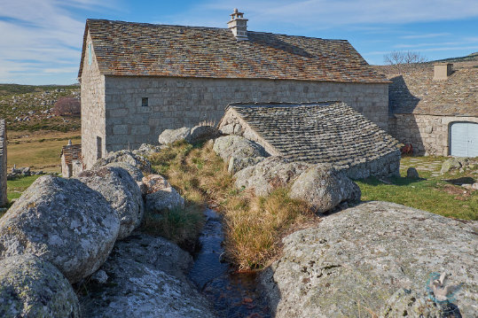 ferme des Cévennes - Mas Camargue