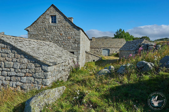 ferme des Cévennes - Mas Camargue