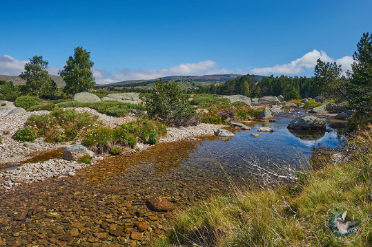 Paysages des Cévennes