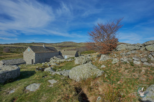 ferme des Cévennes
