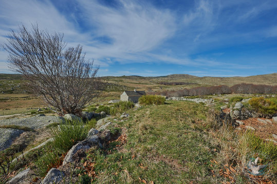 ferme des Cévennes - Mas Camargue
