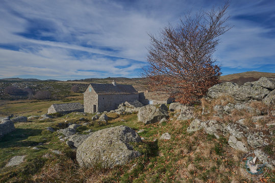 ferme des Cévennes - Mas Camargue
