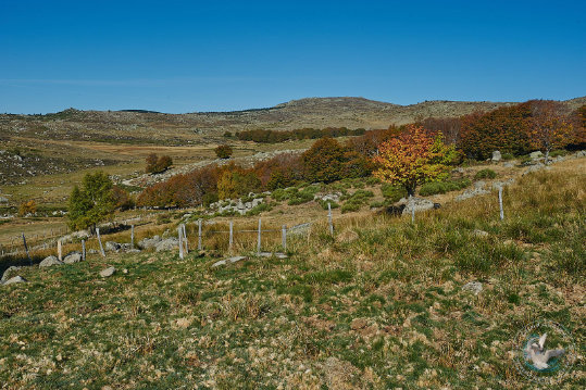 Paysages des Cévennes