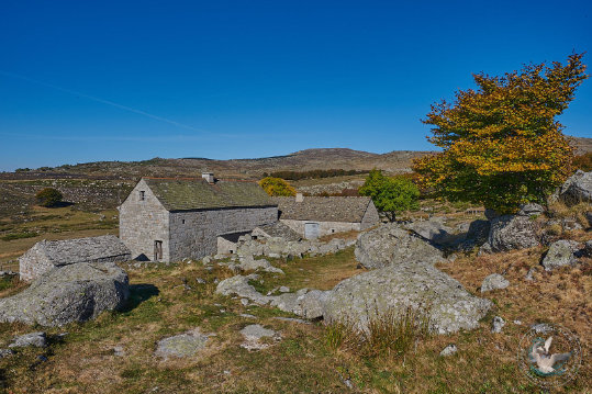 ferme des Cévennes - Mas Camargue