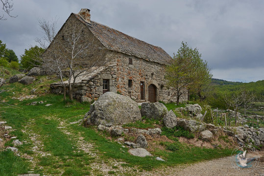 Paysages des Cévennes