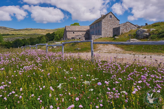 ferme des Cévennes