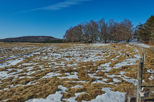Paysages des Cévennes