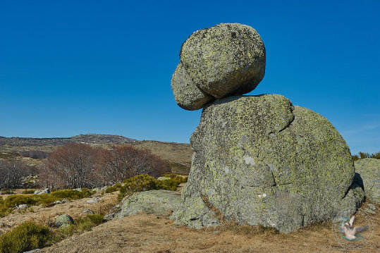 Paysages des Cévennes