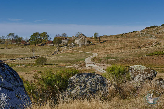 Paysages des Cévennes
