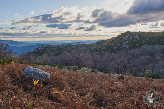 Paysages des Cévennes
