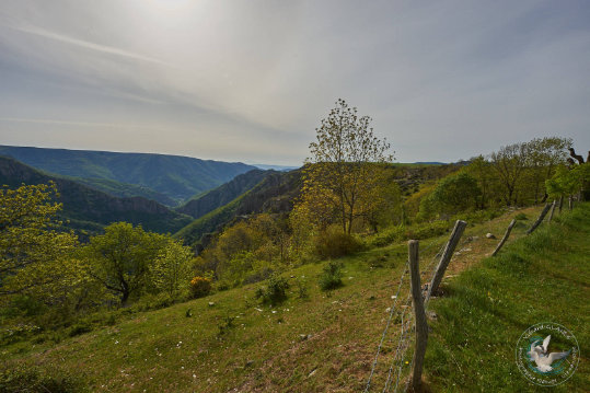 Paysages des Cévennes
