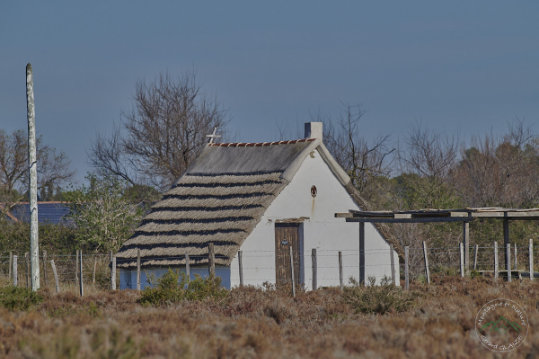Traditional Camargue hut