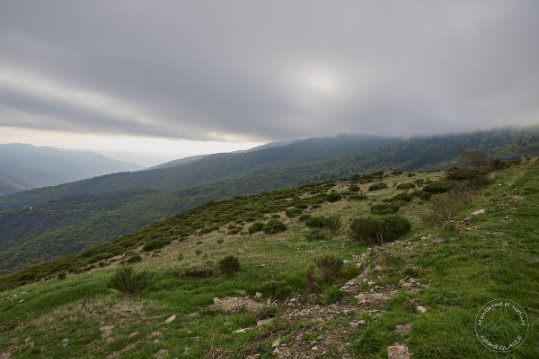Landscape of Lozère