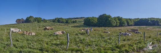 panorama paysage des Cévennes