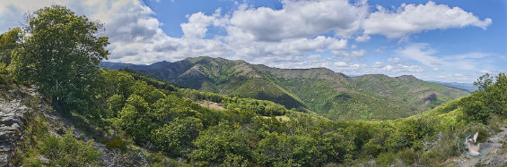 panorama paysage des Cévennes