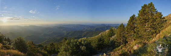 panorama paysage des Cévennes