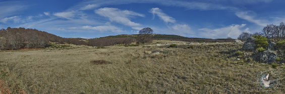 panorama paysage des Cévennes