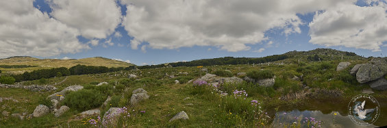 panorama paysage du Mont Lozère