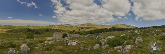 panorama paysage Mont Lozère