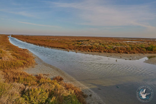 Paysages de Camargue