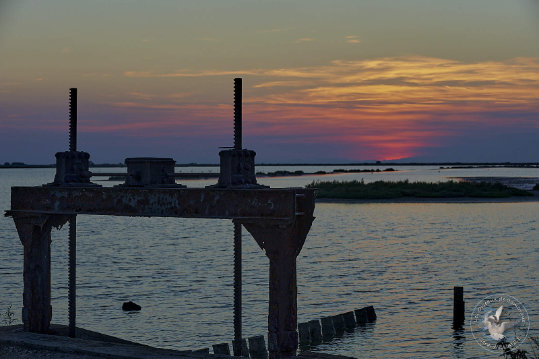 Paysages de Camargue