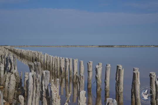 Paysages de Camargue