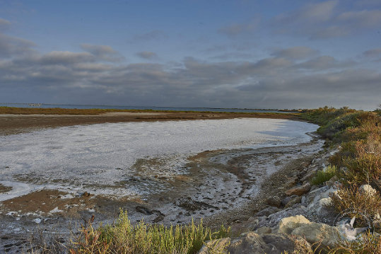 Paysages de Camargue