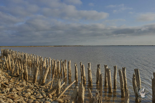Paysages de Camargue