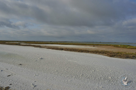 Paysages de Camargue