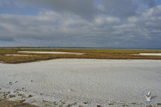 Paysages de Camargue