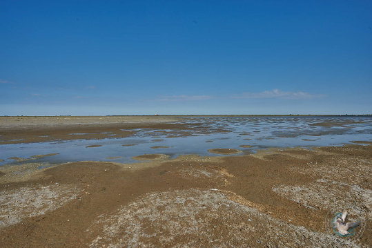 Paysages de Camargue