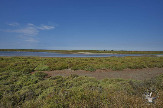 Paysages de Camargue